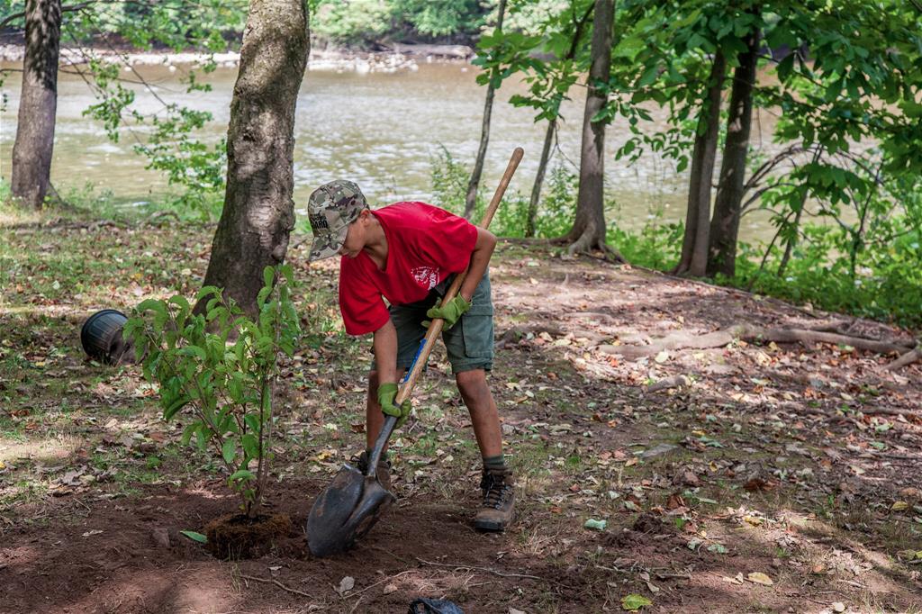 Child Planting a Tree